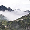산의뿌리