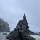 피자베이 울릉도점 | 비바람 불어도 독도까지 보고 온 울릉도 여행 2일차