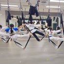 경희대 위드 태권도 이미지