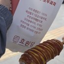 하트노래연습장 | 부산에서 순천 여수 1박2일 여행..이라고 해도되나?