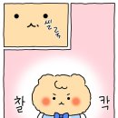비사오르 이미지