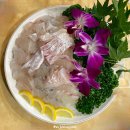 싱싱횟집 | 성수 횟집 뚝도시장 싱싱횟집 모듬회 솔직후기