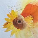 sunflower 이미지