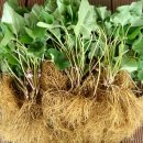 세신한의원 이미지