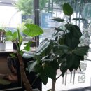 감청수병원 이미지