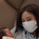 손담비 카카오 검색결과