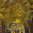 청주시 흥덕정신건강복지센터 | 25년 청주시 흥덕구 청주 흥덕정신건강복지센터 마음건강지킴이 워크숍 '아산 피나클랜드' 다녀왔어요