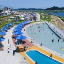 양양애서 이미지