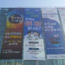 라인광고기획