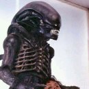 풍동중학교 이미지