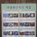 야생화단지내 | 인천 산책로 추천, 인천 드림파크 야생화단지 데이트 코스