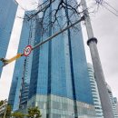 스타벅스 해운대동백 이미지