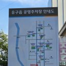 공주 수국축제 유구색동수국정원, 중부권 최대 수국 명소 직접 가본 후기