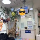 미즈아이프라자산부인과의원 | 미즈아이프라자산부인과 노원 달빛어린이병원