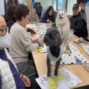 일산동구보건소치매안심센터 이미지