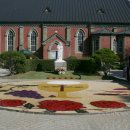 안골농원 이미지