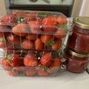 형재 농장 이미지