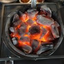참숯소야갈비