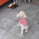 하프잇댕 이미지