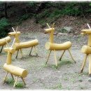 푸른숲속유치원 이미지