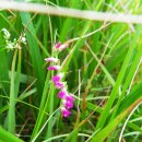 한라산풍경 이미지