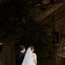 민채축사 네이버블로그