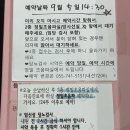 참주은