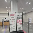 미디어아트 비교: 전주 완산벙커 더 스페이스vs남원 피오리움 평일 실제 방문 후기