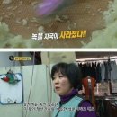 하늘세탁 이미지