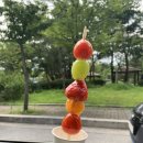 하이루탕후루 이미지
