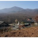 (구)보건소사거리2(하나은행앞) 이미지