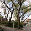 갈담경로당 이미지