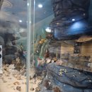 덕소자연사박물관 이미지