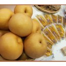 강남농원 - 예산군 윤봉길로 1879-14 | 강남농원