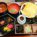 백양동물병원 이미지