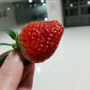 이루리농장 이미지