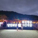 태조강헌 대왕영전 | 수원 화성 행궁의 야간개장인 달빛화담