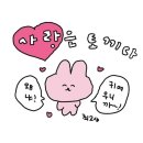 캐럿 - 전주시 완산구 홍산로 246 | 캐럿