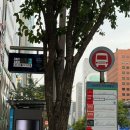 강남랜드 | 에버랜드 할인방법, 평일 오픈런 후기, 강남역에서 에버랜드 가는 법
