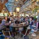 조양수지 이미지