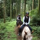 제주통나무휴양펜션 이미지