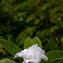 조은한의원 이미지