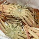 일미회식당 - 포항시 북구 해안로1512번길 26 | 일미회식당