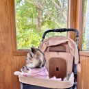 가을날 역사여행 in 조선 이미지