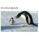 더오니기리 이미지