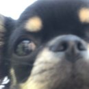 재준농장 이미지