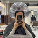 장현지구 | 플렌에이치 시흥장현점 밀본 헤어크리닉 후기｜장현지구 미용실 추천✨