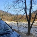 수봉야영장 이미지