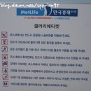 포상 그라운드 골프장 | [골프 갤러리] 제 36회 KLPGA 챔피언쉽 후기 및 갤러리 에티켓!!!