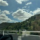 조종면 | 가평 오지 백패킹 소개 | 가평 조종면 잣나무 숲 프라이빗한 장소